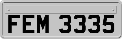 FEM3335