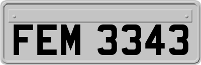 FEM3343