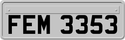 FEM3353