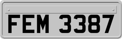 FEM3387