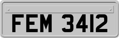 FEM3412