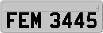 FEM3445