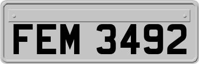 FEM3492