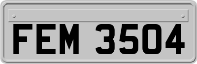 FEM3504