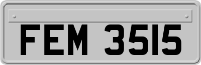 FEM3515