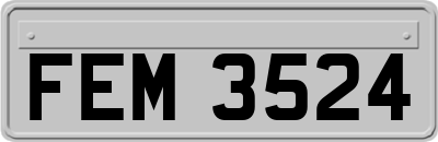 FEM3524
