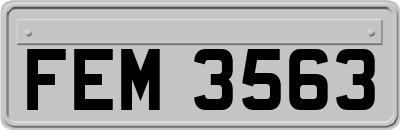 FEM3563