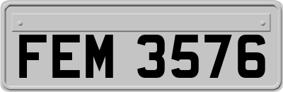 FEM3576