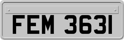 FEM3631