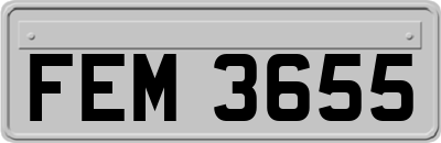 FEM3655