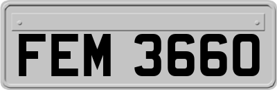 FEM3660