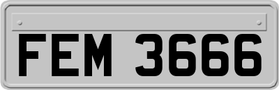 FEM3666