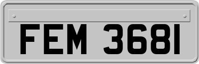 FEM3681