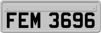 FEM3696