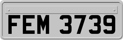 FEM3739