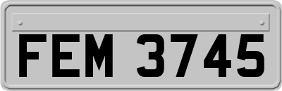 FEM3745