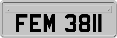 FEM3811