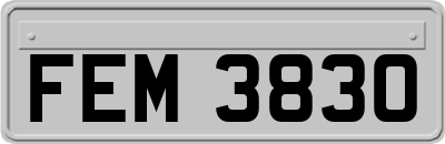 FEM3830