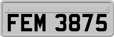 FEM3875