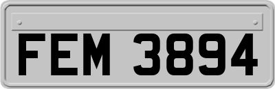 FEM3894