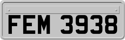 FEM3938