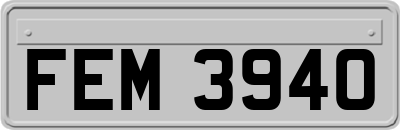 FEM3940