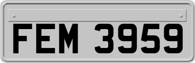FEM3959