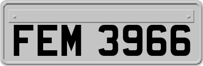 FEM3966