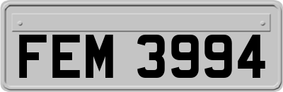 FEM3994