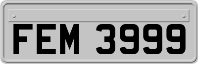 FEM3999