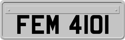 FEM4101