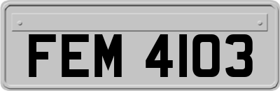 FEM4103