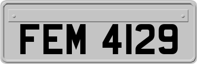 FEM4129