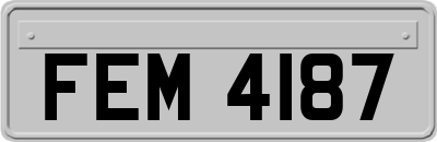 FEM4187