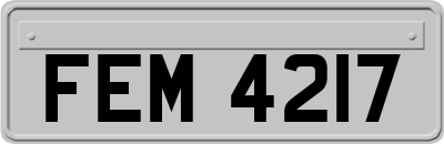 FEM4217