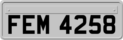 FEM4258