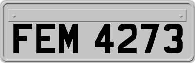 FEM4273