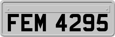 FEM4295