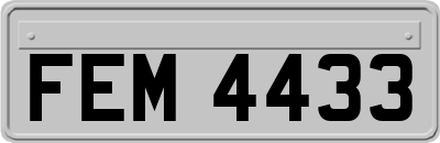 FEM4433