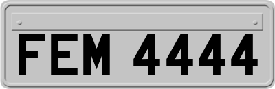 FEM4444