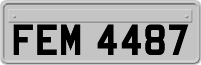 FEM4487
