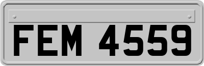 FEM4559