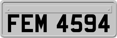 FEM4594