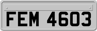 FEM4603