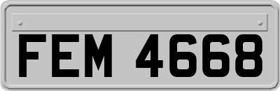 FEM4668