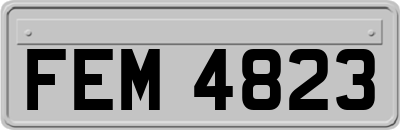 FEM4823