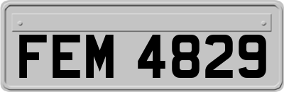 FEM4829