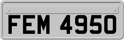 FEM4950