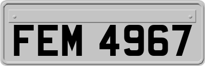 FEM4967