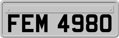 FEM4980